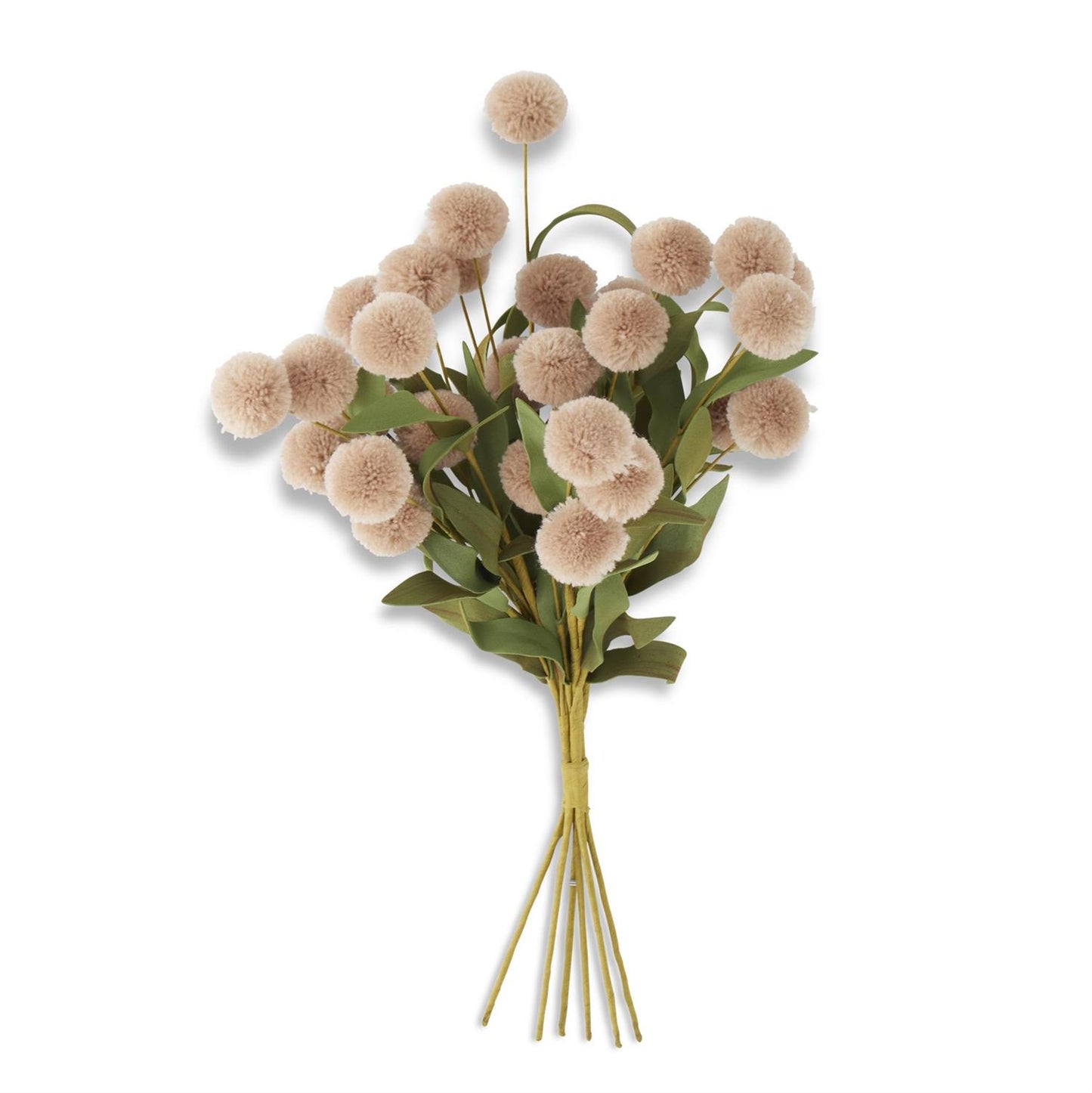 13" Tan Pompom Pick w/Green Leaves Bundle (6 Stems)