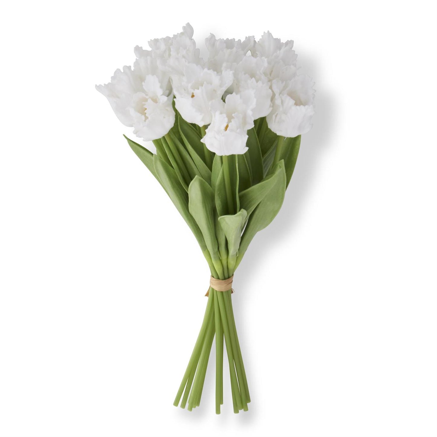 13" Real Touch White Parrot Tulip Bundle