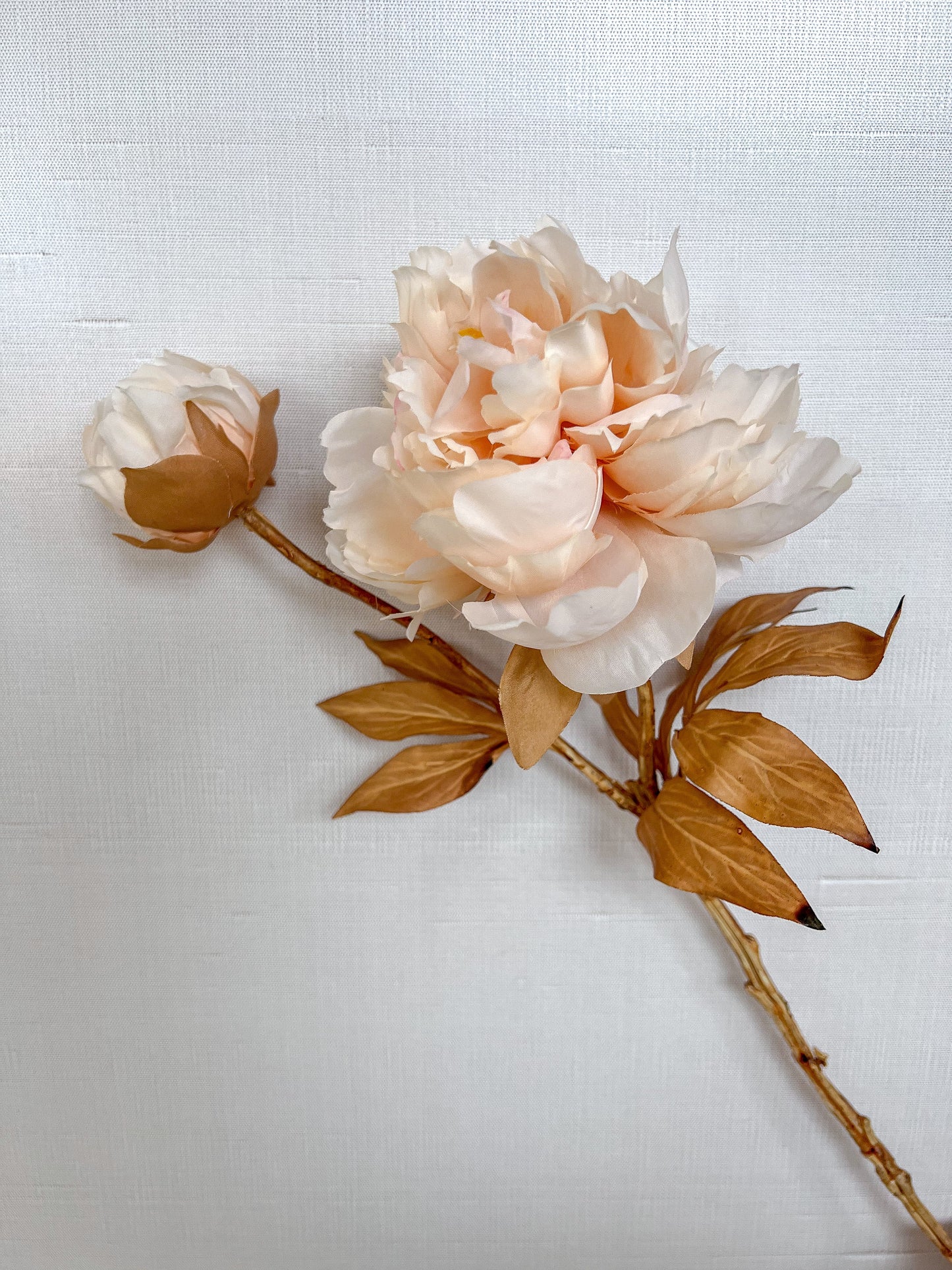 22" Cream Blooming Peony Stem