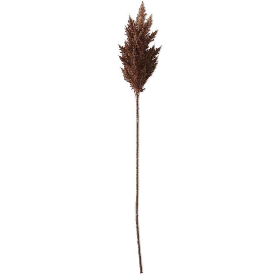 35" Dark Ombre Pampas Grass Stem