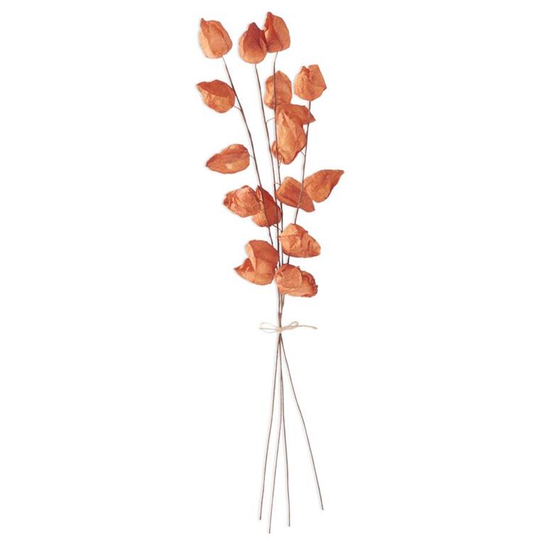 28.5" Orange Chinese Lantern Bundle (4 Stems)