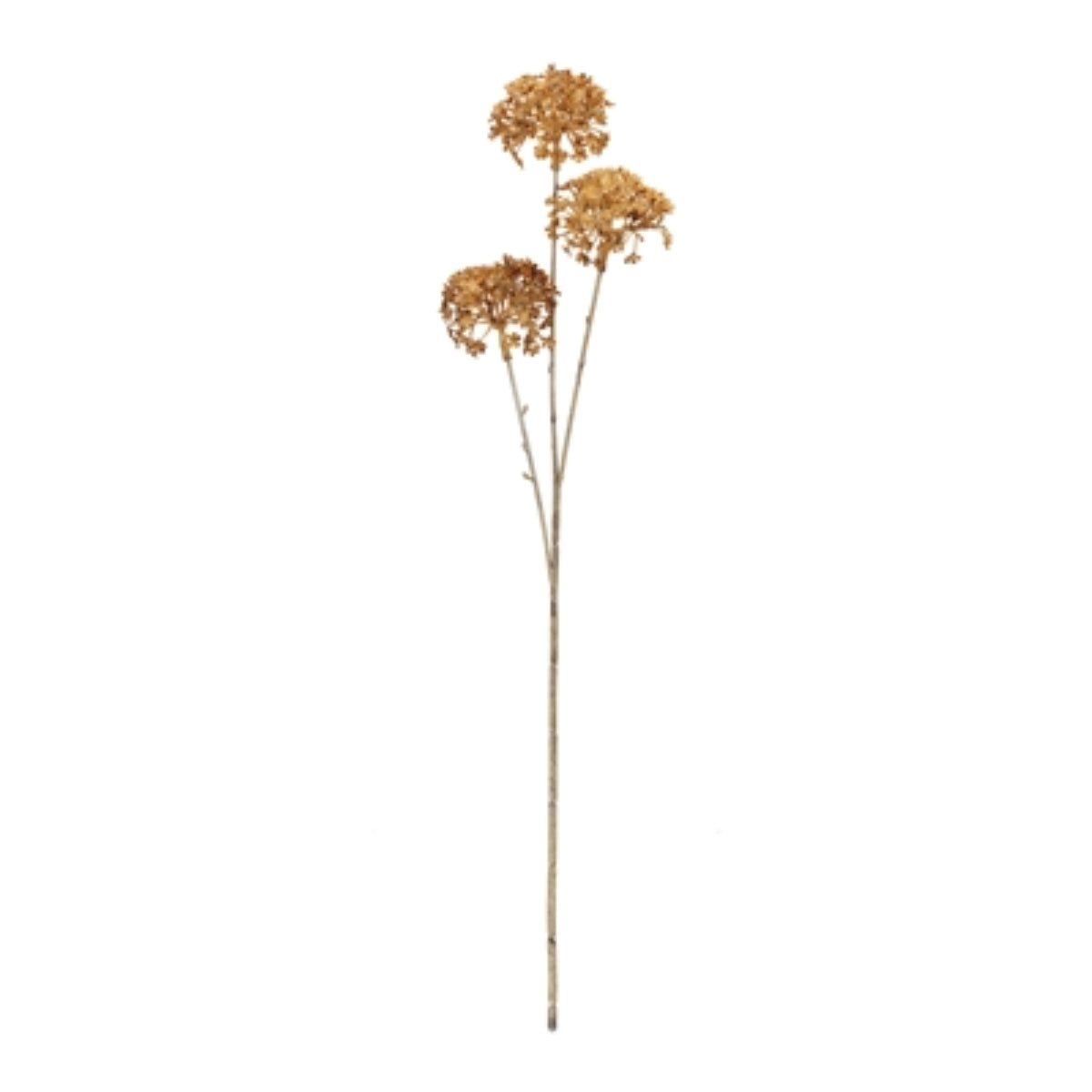 28" Golden Hydrangea Stem