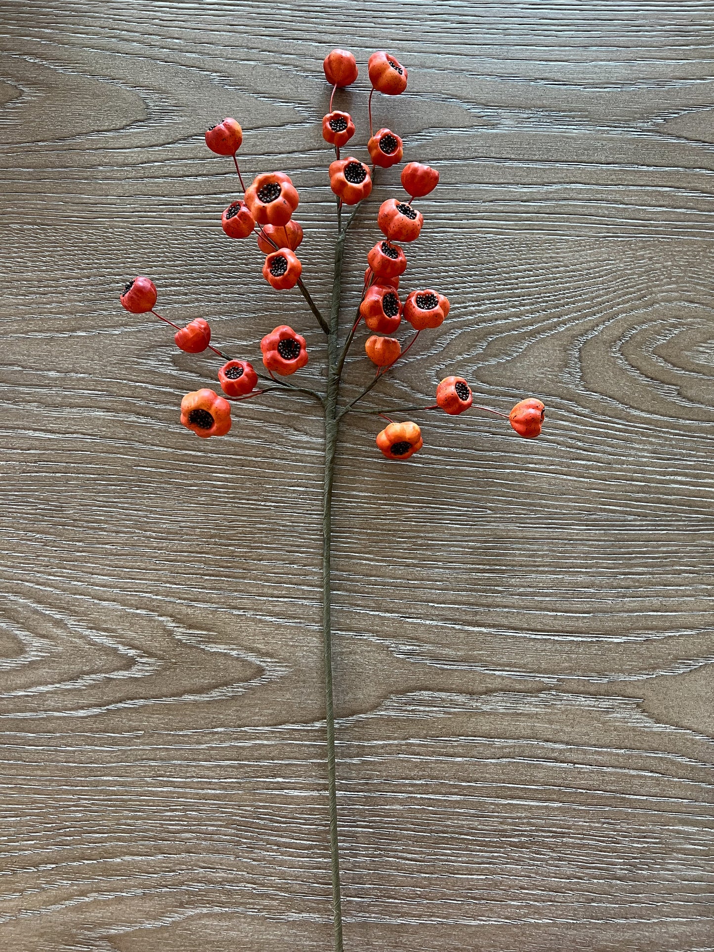 27" Orange Fig Stem