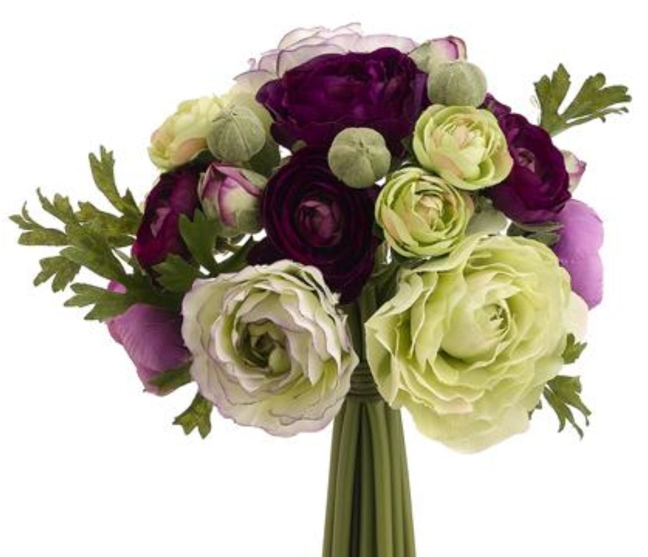 9" Purple & Green Ranunculus Bundle